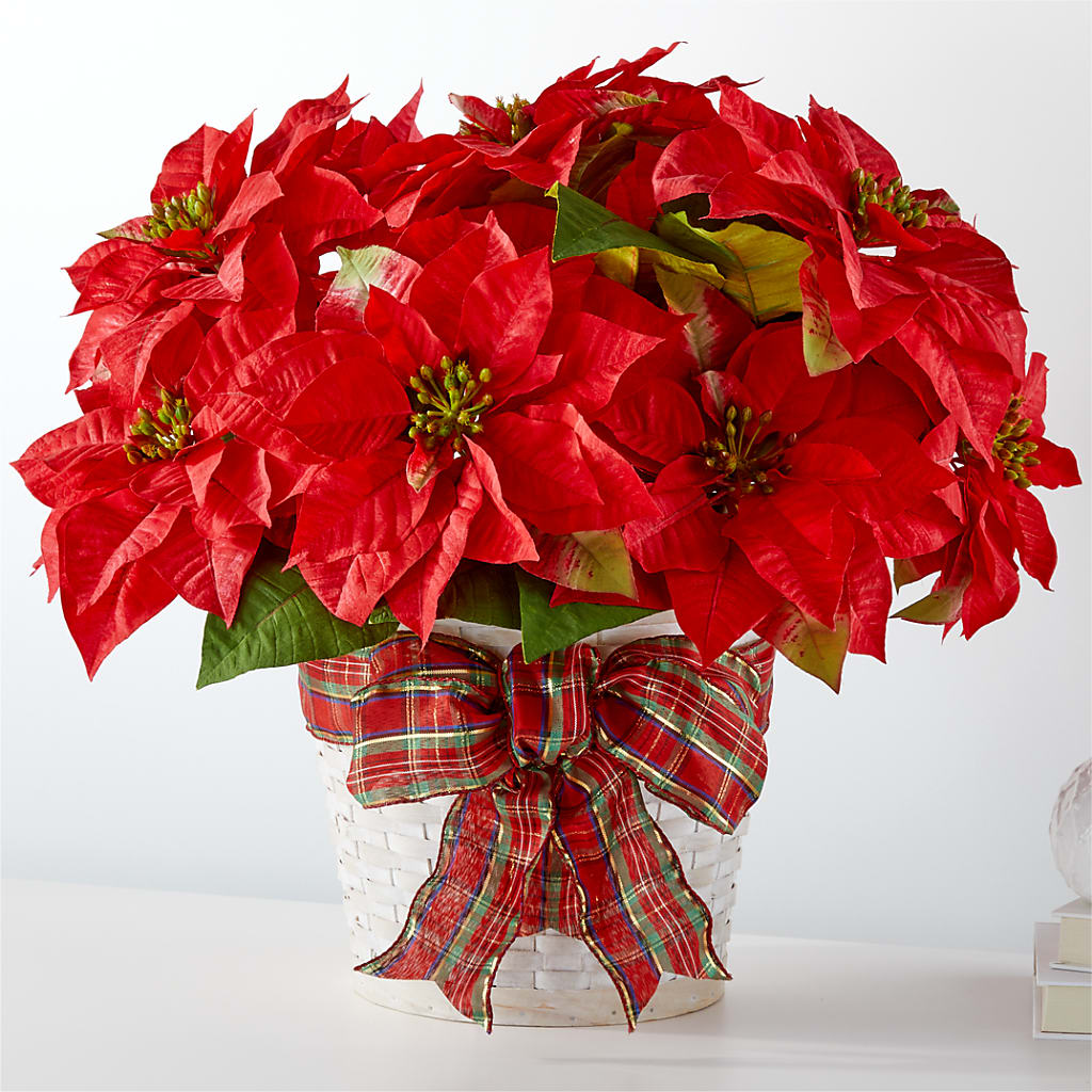 Happiest Holidays Poinsettia – Akd Florist, Santa Maria CA