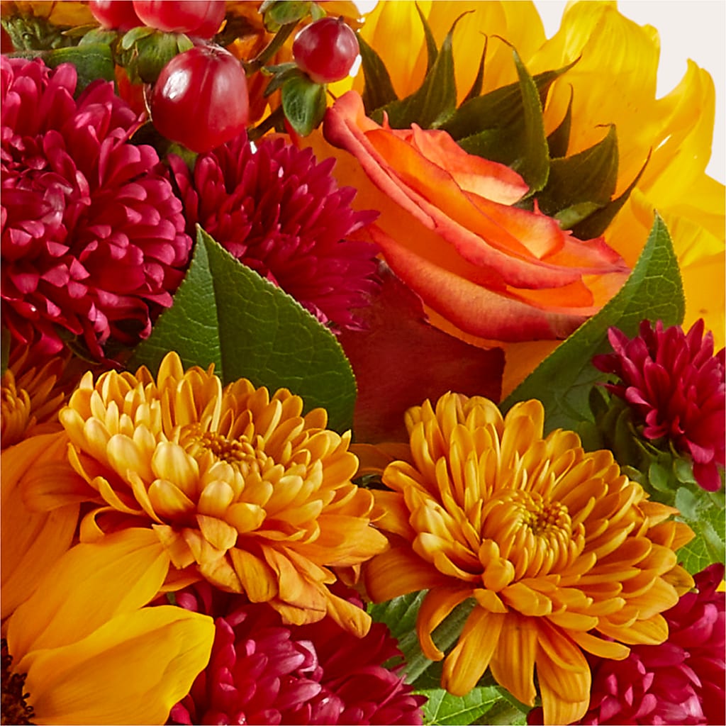 Sweater Season - A Florist Original – Akd Florist, Santa Maria CA