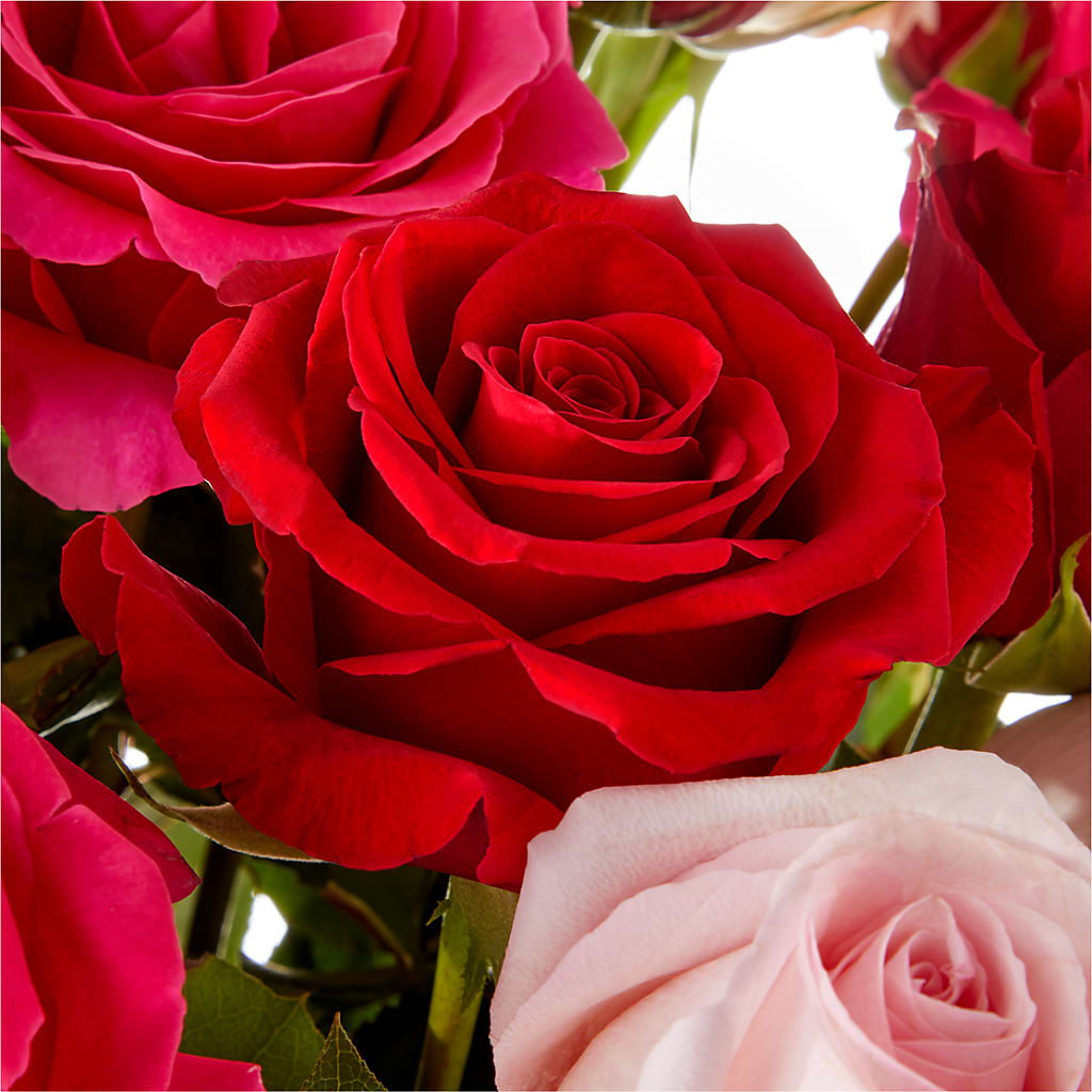 Love Notes Rose Bouquet – Akd Florist, Santa Maria CA