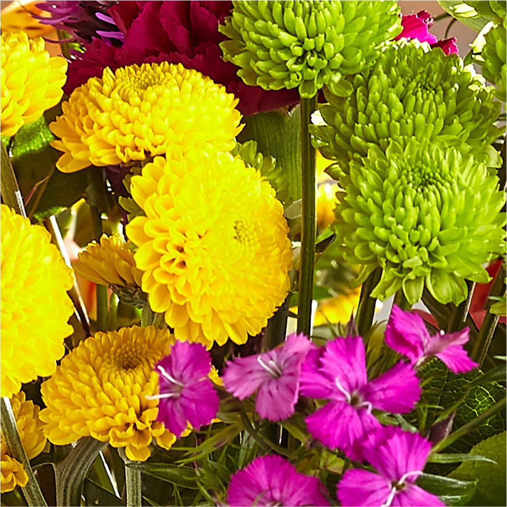 Bold & Bright – A Florist Original –  Akd Florist, Santa Maria CA