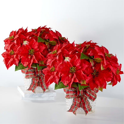 Happiest Holidays Poinsettia Bundle –  Akd Florist, Santa Maria CA