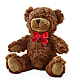 Adorable Plush Bear –  Akd Florist, Santa Maria CA