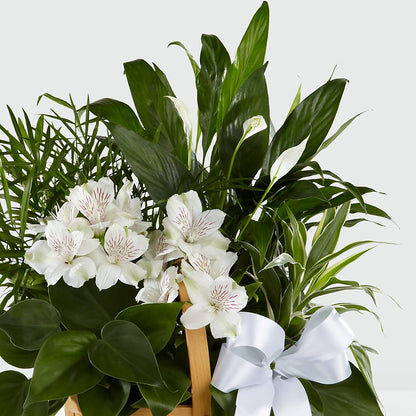 Peace & Serenity Dishgarden –  Akd Florist, Santa Maria CA