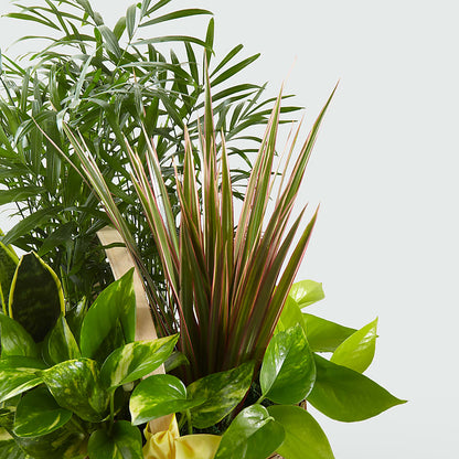 French Garden –  Akd Florist, Santa Maria CA
