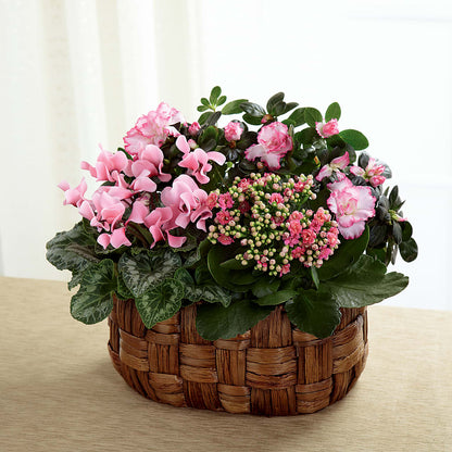 Pink Assortment –  Akd Florist, Santa Maria CA