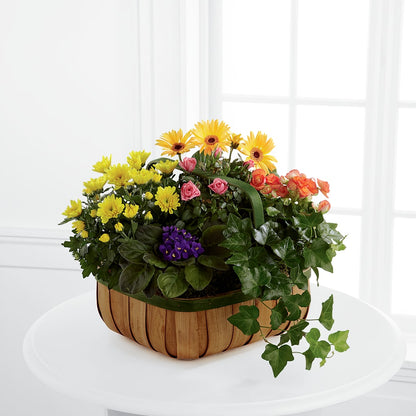 Gentle Blossoms Basket –  Akd Florist, Santa Maria CA