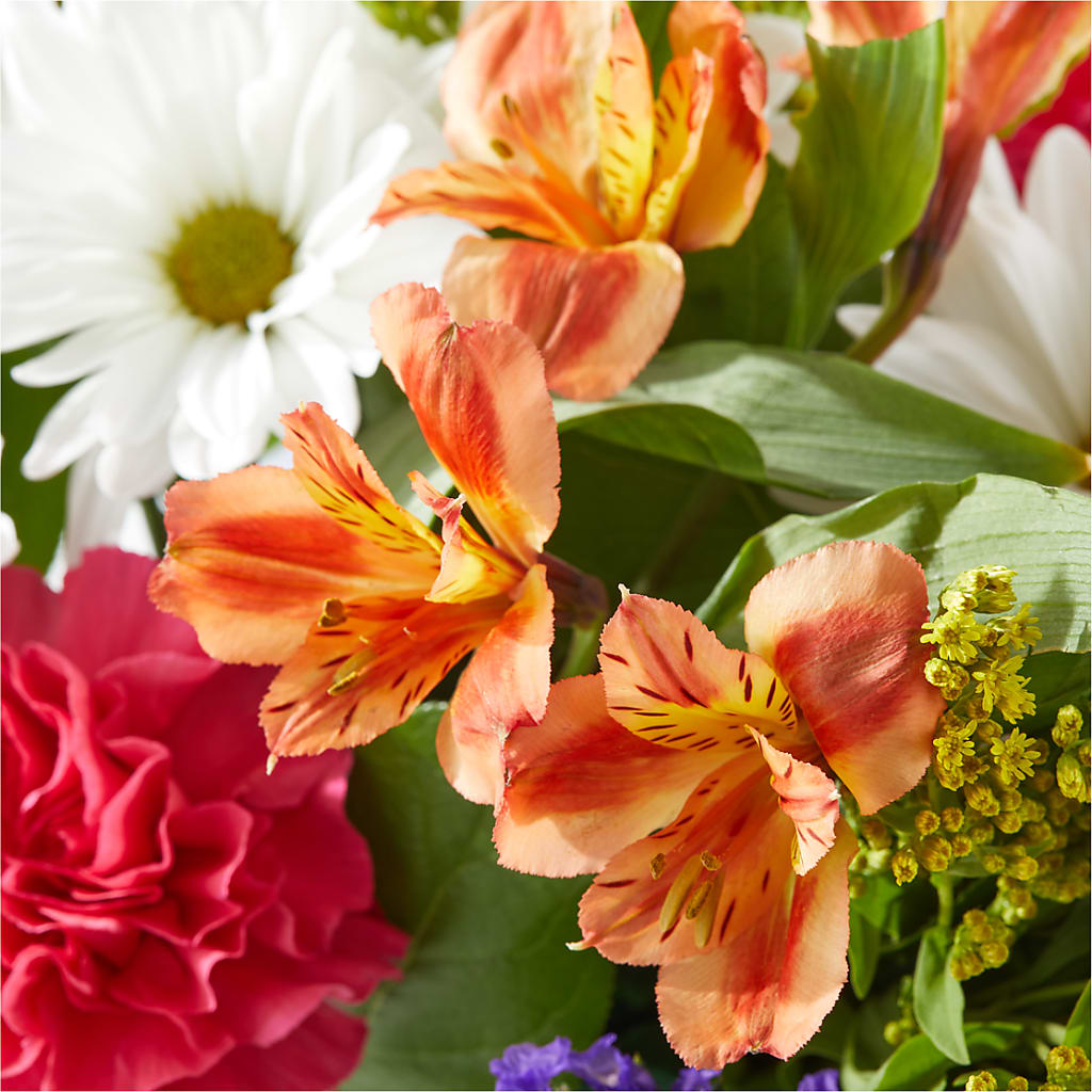 Oopsie Daisy Box Bouquet –  Akd Florist, Santa Maria CA