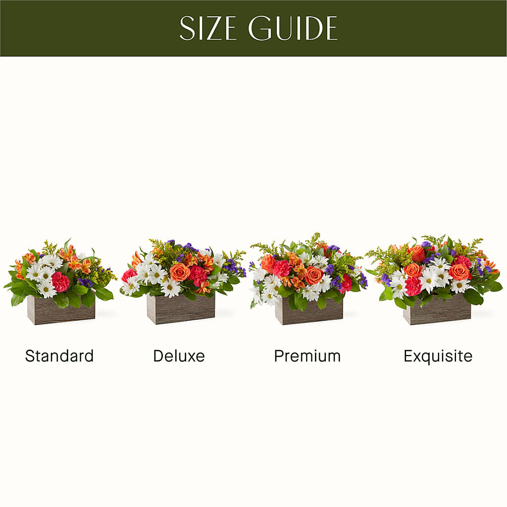 Oopsie Daisy Box Bouquet –  Akd Florist, Santa Maria CA
