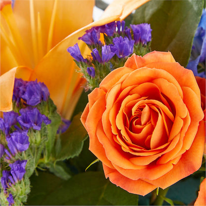 Radiant Citrus Box Bouquet –  Akd Florist, Santa Maria CA