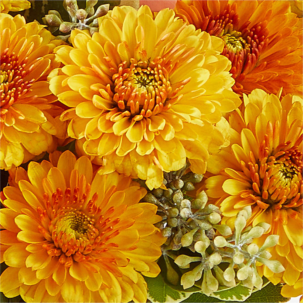 Peachy Pumpkin –  Akd Florist, Santa Maria CA