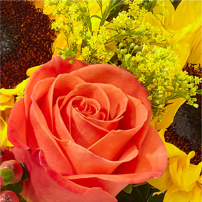 Pick of the Patch Pumpkin Bouquet –  Akd Florist, Santa Maria CA