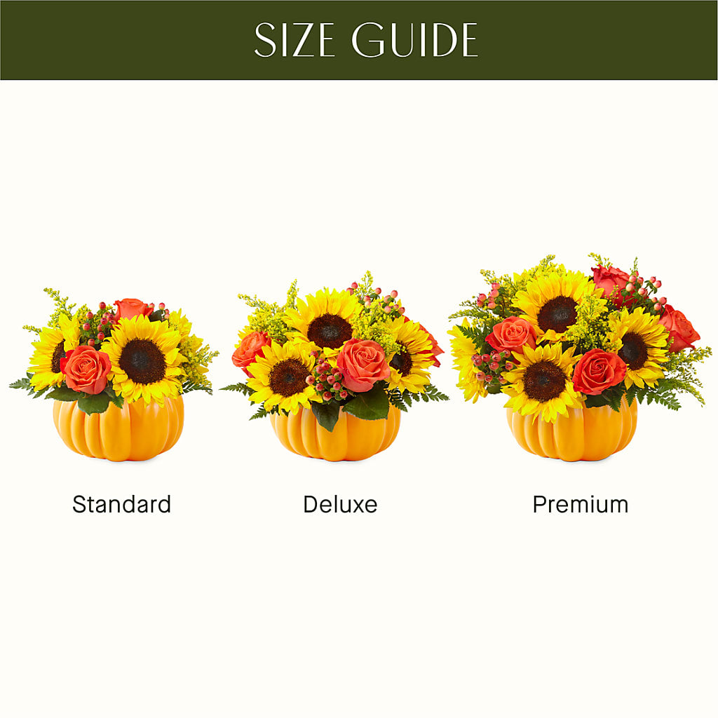 Pick of the Patch Pumpkin Bouquet –  Akd Florist, Santa Maria CA