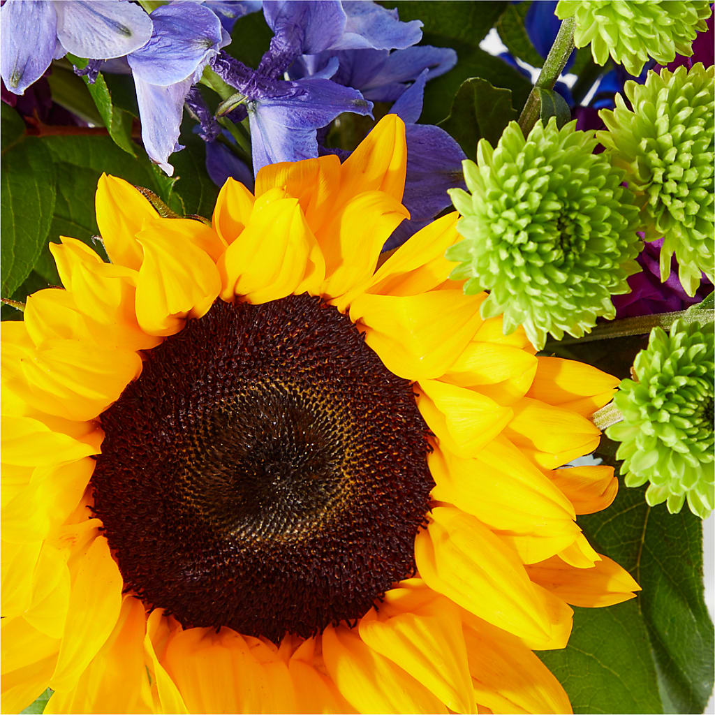 Catching Rays Bouquet –  Akd Florist, Santa Maria CA
