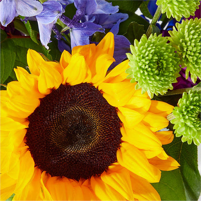 Catching Rays Bouquet –  Akd Florist, Santa Maria CA