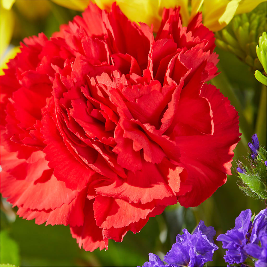 Brighter Days Bouquet –  Akd Florist, Santa Maria CA