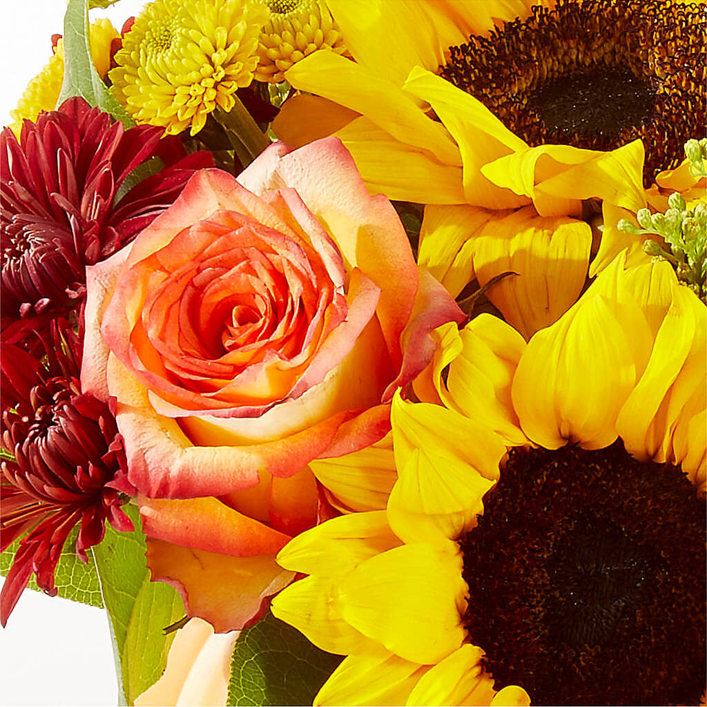 Golden Gourd Pumpkin Bouquet –  Akd Florist, Santa Maria CA