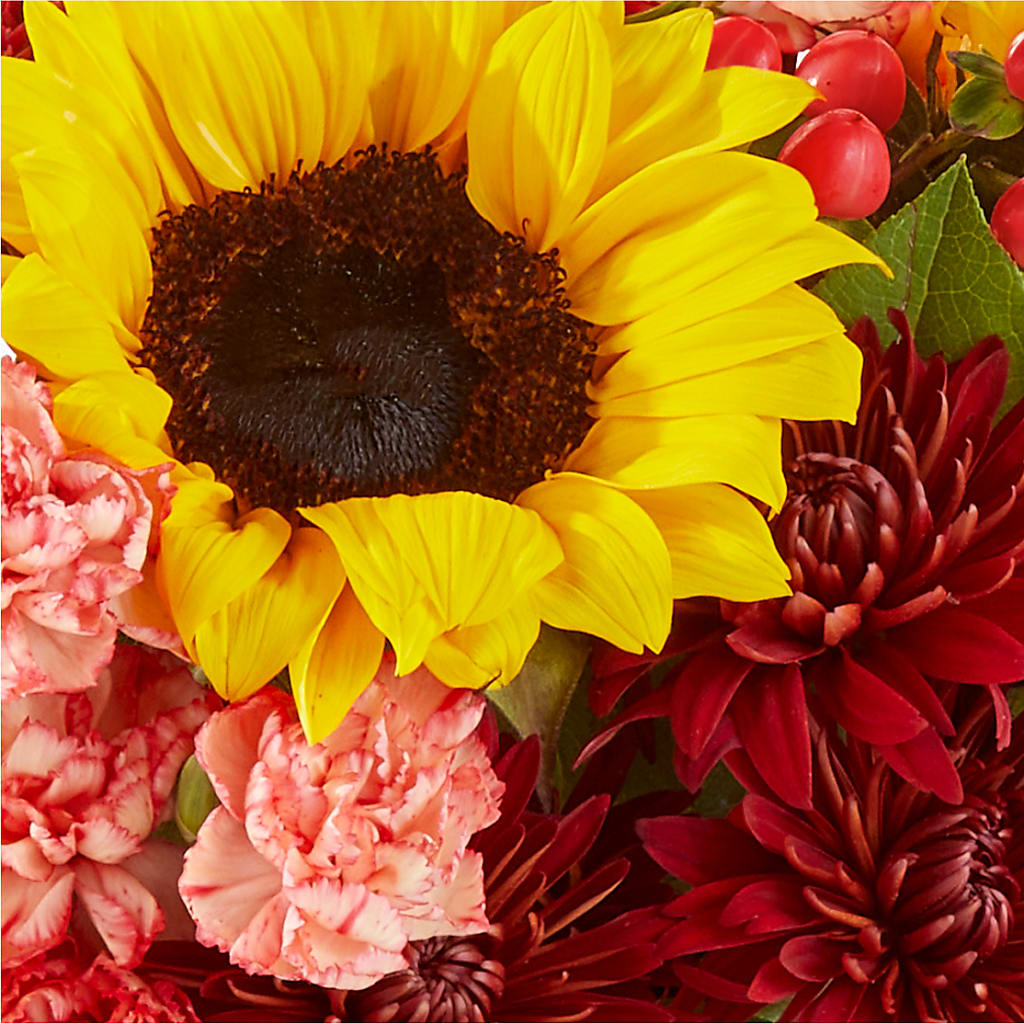 Fresh Cider Bouquet –  Akd Florist, Santa Maria CA