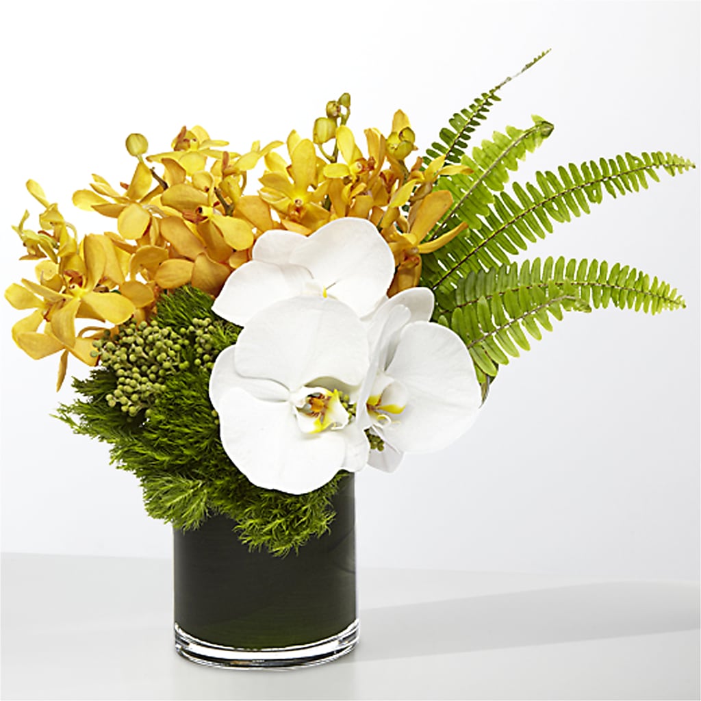 The Tropics –  Akd Florist, Santa Maria CA