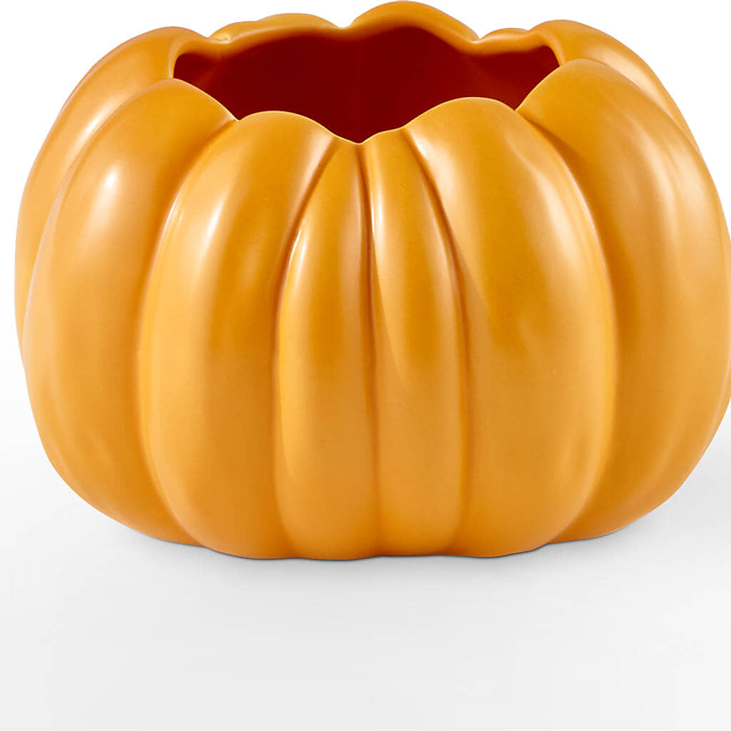 Golden Gourd Pumpkin Bouquet –  Akd Florist, Santa Maria CA