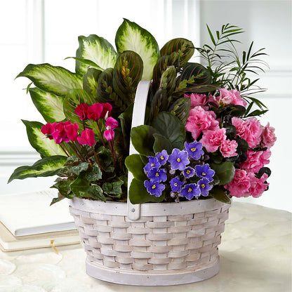 Peaceful Garden Planter –  Akd Florist, Santa Maria CA