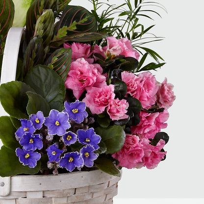 Peaceful Garden Planter –  Akd Florist, Santa Maria CA