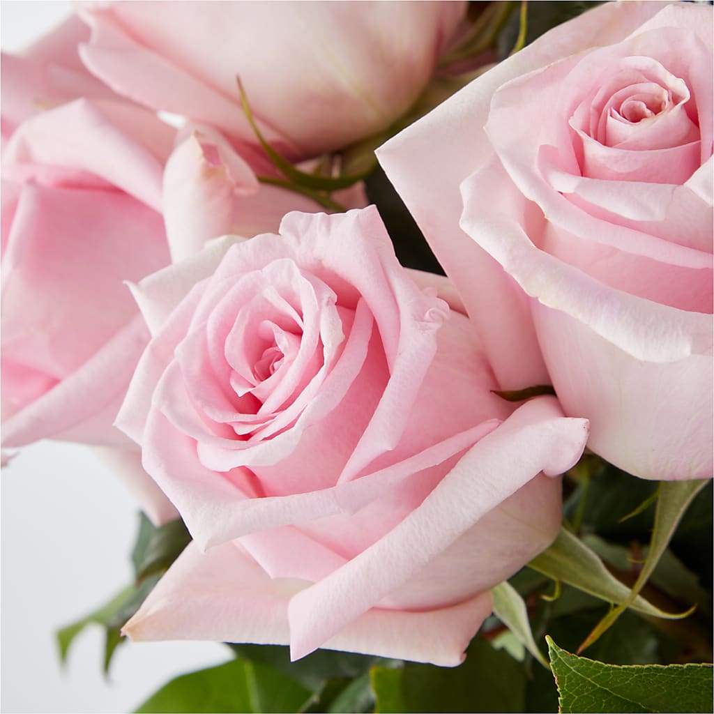 Picture Perfect Pink Rose Bouquet –  Akd Florist, Santa Maria CA