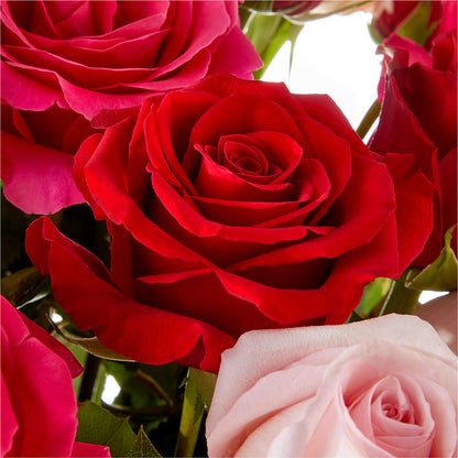 Love Notes Rose Bouquet –  Akd Florist, Santa Maria CA