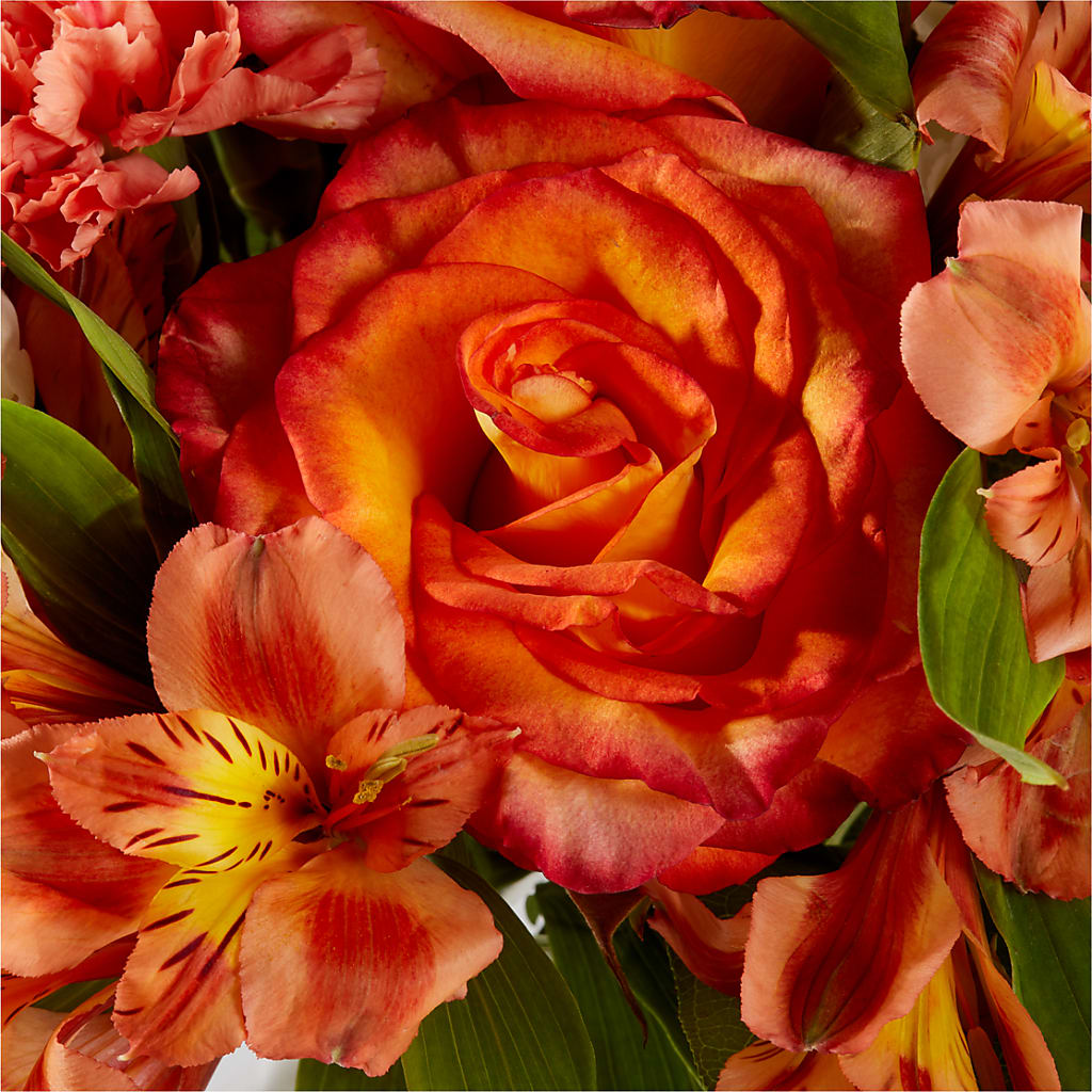 Apricot Glow Bouquet –  Akd Florist, Santa Maria CA