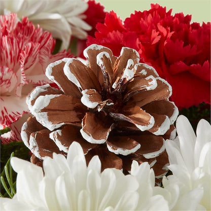 Candy Cane Lane Bouquet –  Akd Florist, Santa Maria CA