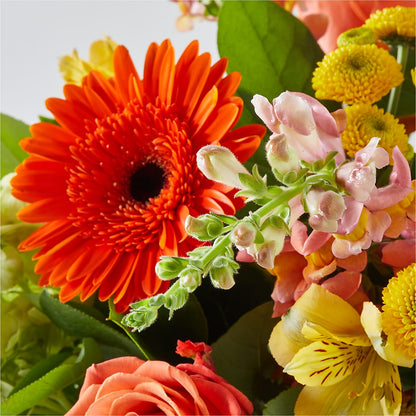 Autumn Sunshine Bouquet –  Akd Florist, Santa Maria CA
