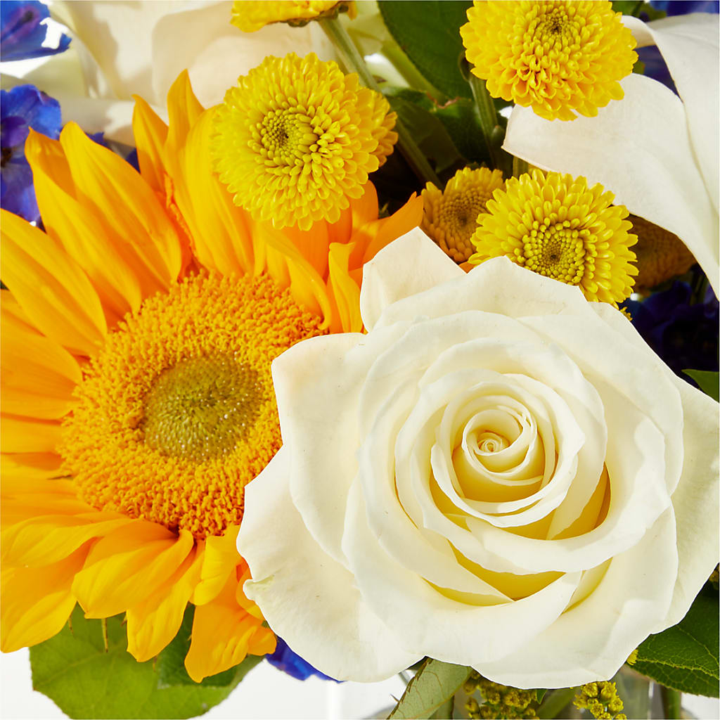 Stargazing Bouquet –  Akd Florist, Santa Maria CA