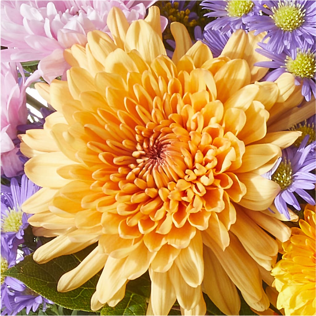 Countryside Bouquet –  Akd Florist, Santa Maria CA