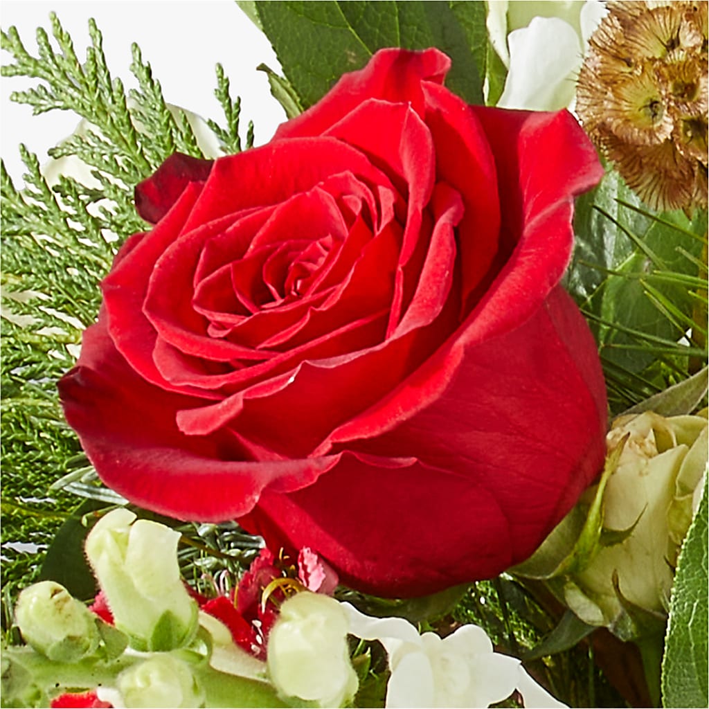 Deck the Halls Bouquet –  Akd Florist, Santa Maria CA