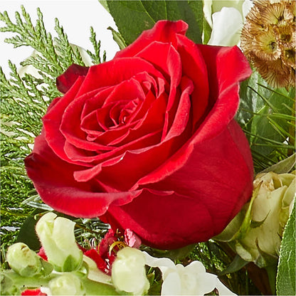 Deck the Halls Bouquet –  Akd Florist, Santa Maria CA