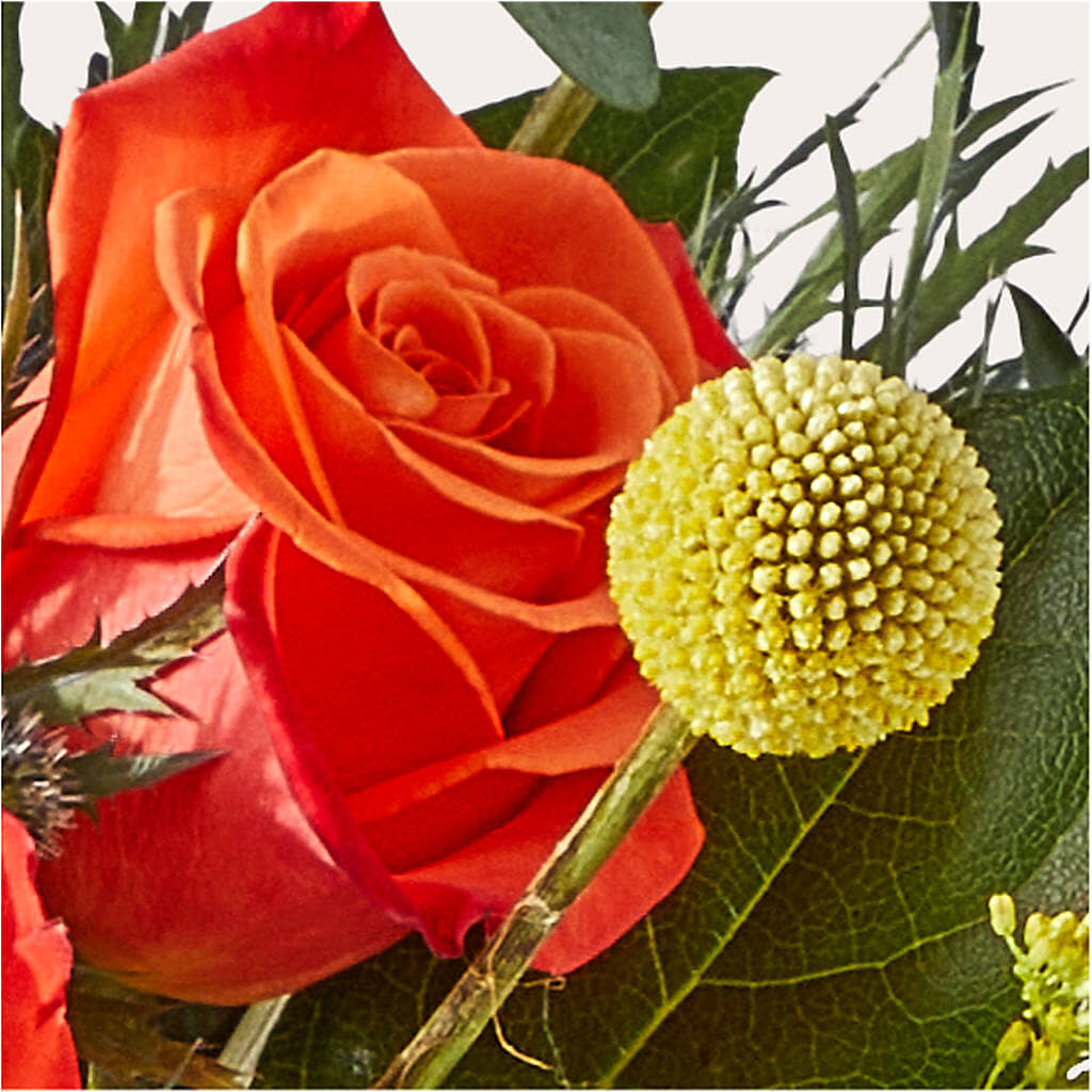 Disco Bouquet –  Akd Florist, Santa Maria CA