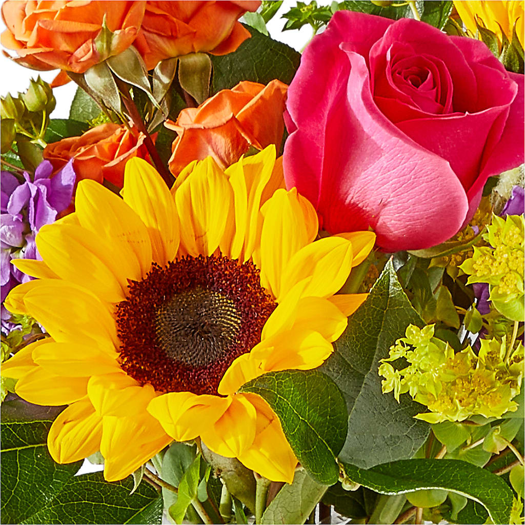 Vibrant Greetings Bouquet –  Akd Florist, Santa Maria CA