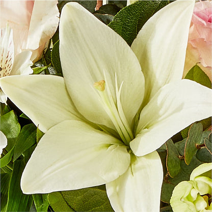 Ballet Slippers Bouquet –  Akd Florist, Santa Maria CA
