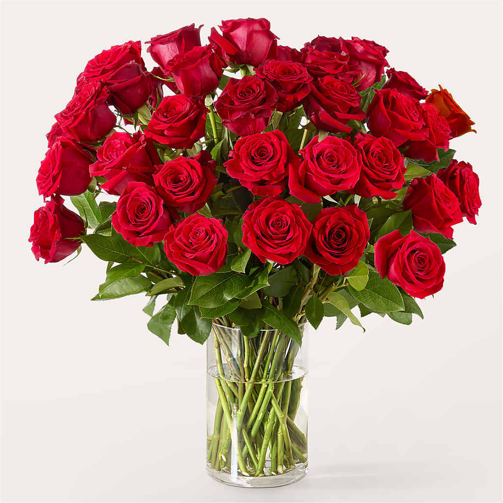 The One Red Rose Bouquet –  Akd Florist, Santa Maria CA