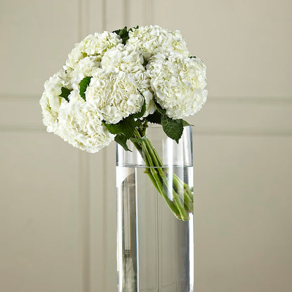 White Hydrangea Hand-Tied Bouquet –  Akd Florist, Santa Maria CA