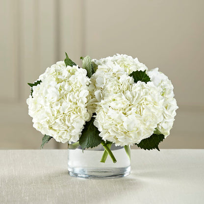 White Hydrangea Bouquet –  Akd Florist, Santa Maria CA
