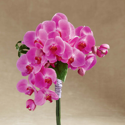 Glorious Bouquet –  Akd Florist, Santa Maria CA