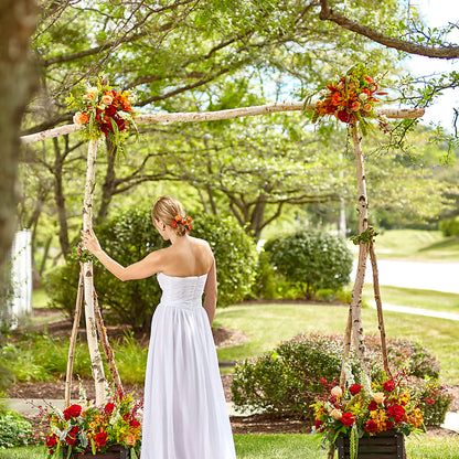 Arbor of Love Archway –  Akd Florist, Santa Maria CA
