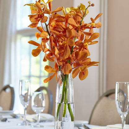 Orange Mokara Bud Vase –  Akd Florist, Santa Maria CA