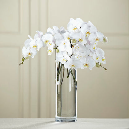 White Phalaenopsis Bouquet –  Akd Florist, Santa Maria CA